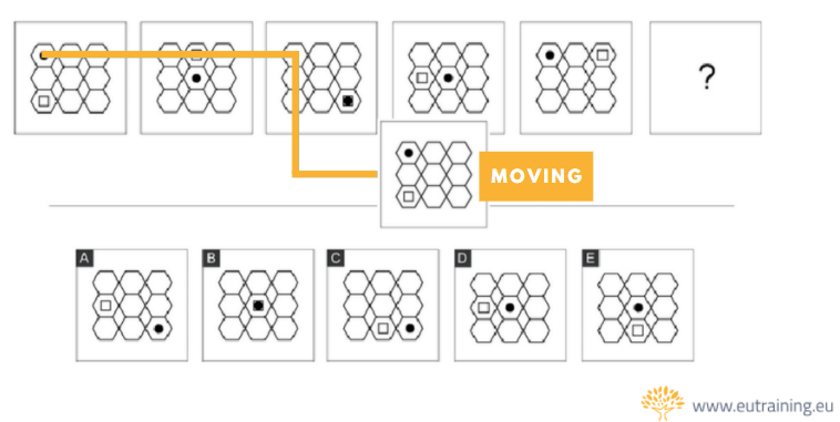 EU Training Abstract Reasoning Explanation Sample