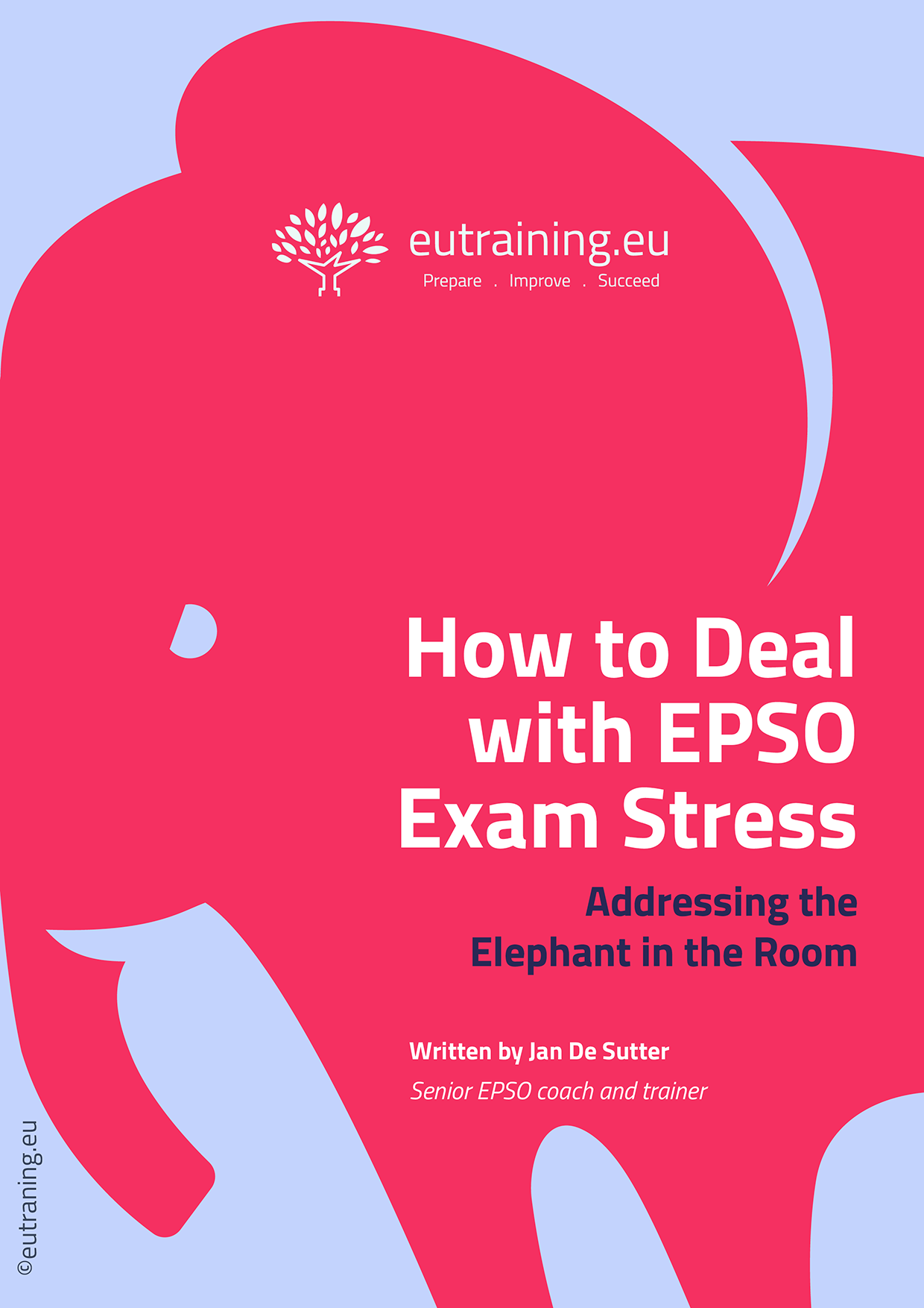 Addressing the Elephant in the Room: How to Manage EPSO Exam Stress