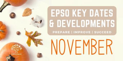 What's coming up in November 2023 | EPSO rundown